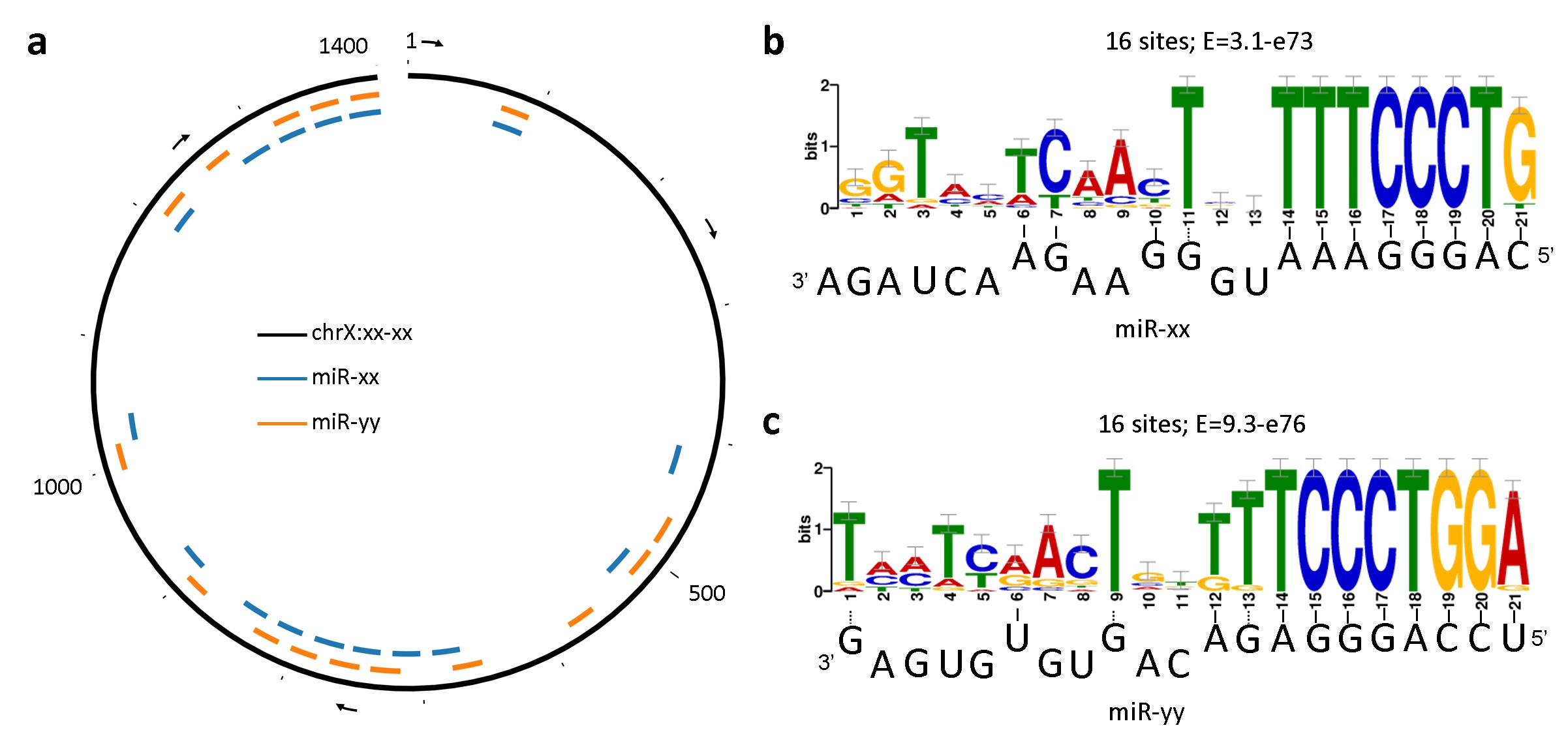 A putative miRNA sponge and its targets miRNAs (sorry, data at non-disclosure stage)